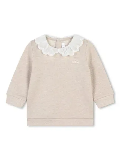 Chloé Babies' Long-sleeve Peter Pan-collar Sweatshirt In Neutrals