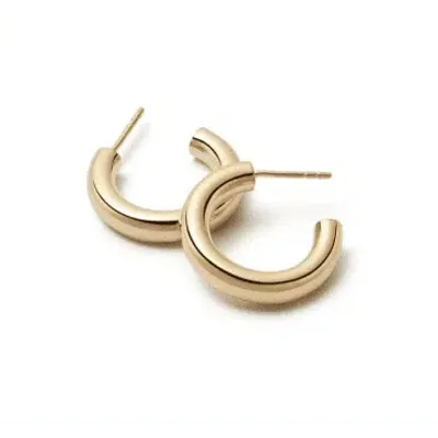 Daisy Jewellery Mini Bold Hoop Earrings In Gold