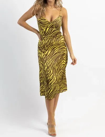 Endless Blu. Zebra Satin Midi Dress In Lime + Brown In Gold