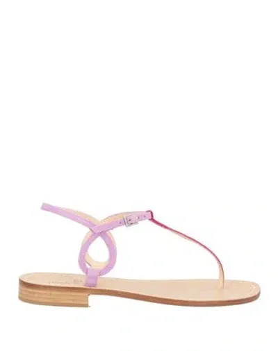 Paolo Ferrara Woman Thong Sandal Fuchsia Size 7 Leather In Pink