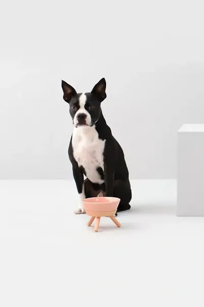 Pets So Good Oreo Pet Standing Bowl In Neutral