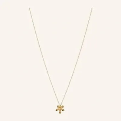 Printer And Tailor Pernille Corydon Wild Poppy Necklace In Gold