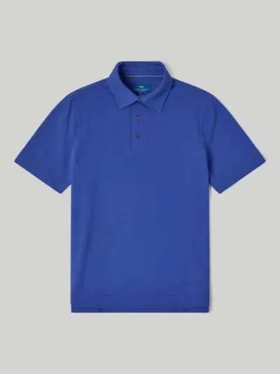 Robert Talbott Walker Short Sleeve Polo In Blue