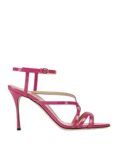 Sergio Rossi Woman Sandals Fuchsia Size 8 Leather In Pink