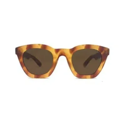 Spitfire - Cut Sixty Four In Brown