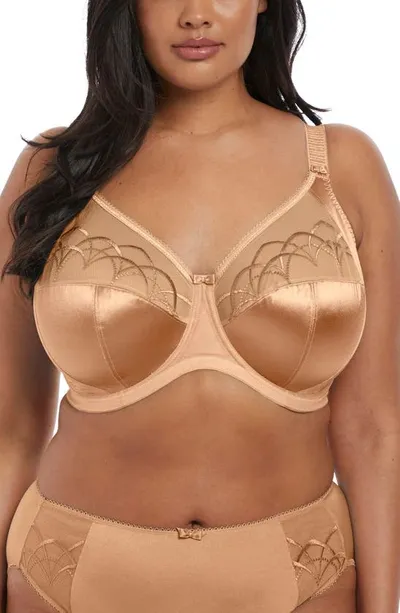 Elomi Cate Full Figure Underwire Lace Cup Bra El4030, Online Only In Hazel