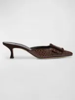 Manolo Blahnik Maysale Croco Buckle Mule Pumps In Dark Brown